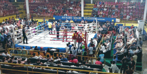 Muay Thai