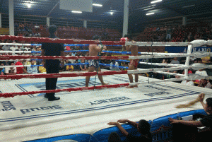 Muay Thai fra ringside