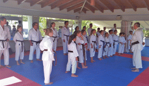 Shihan Larsson forklarer karateprinsipper
