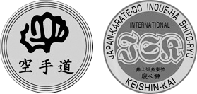 Mizuchi Karate Team